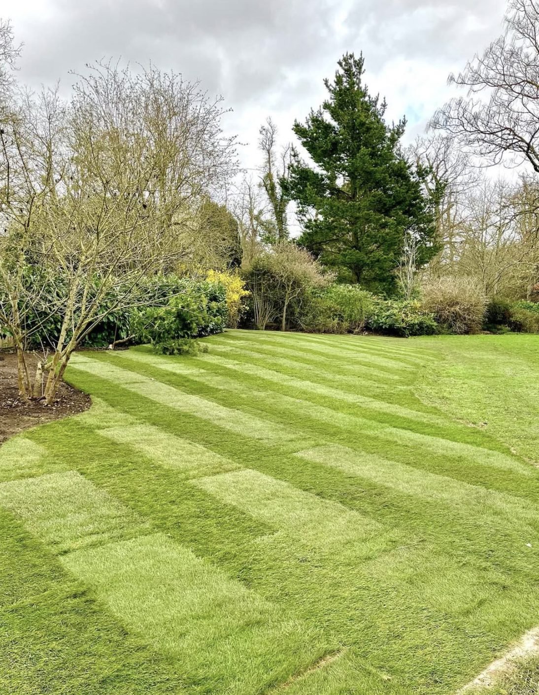 Newly turfed lawn in a large country garden